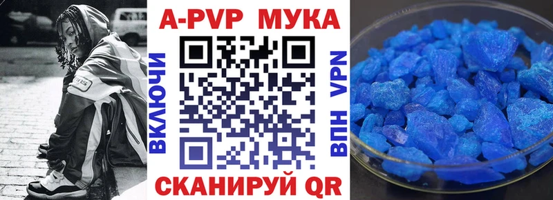 Купить где Кашин Alfa_PVP СК