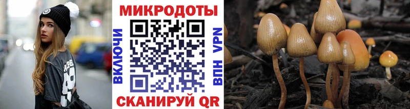 Купить закладки  Кашин  Галлюциногенные грибы Magic Shrooms 